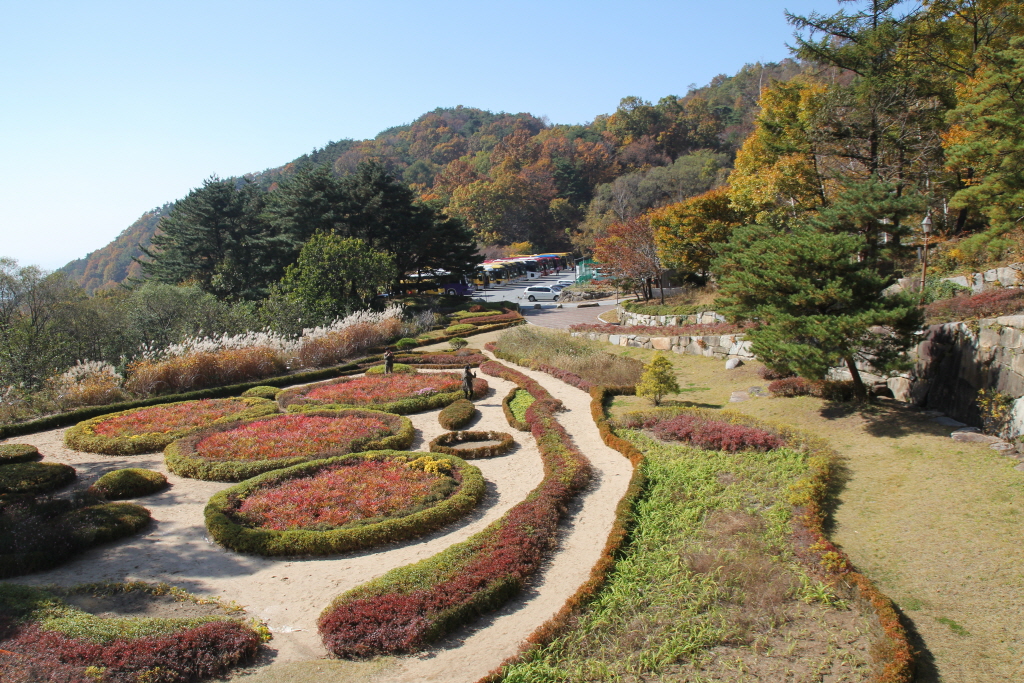 resize_IMG_7213.JPG