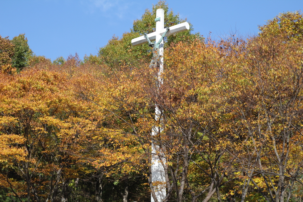 resize_IMG_7194.JPG