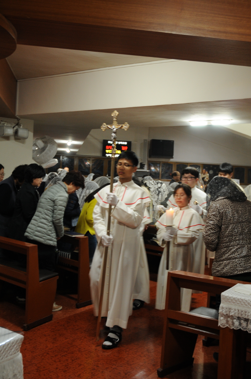 resize_DSC_7879.JPG