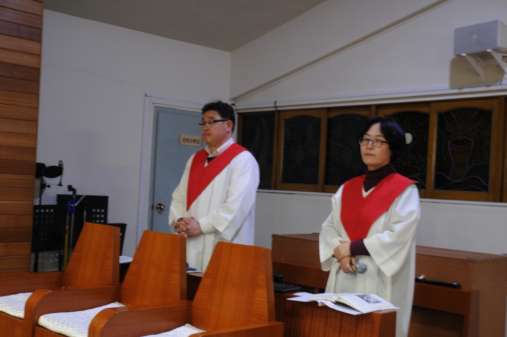 resize_DSC_7896.JPG