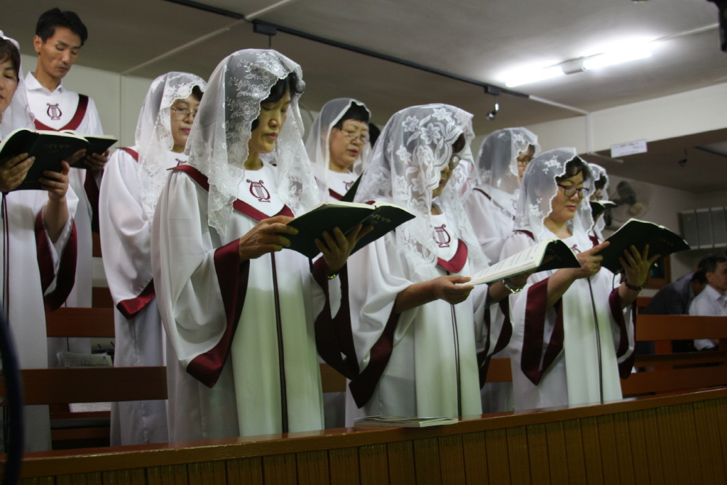 resize_IMG_7968.JPG