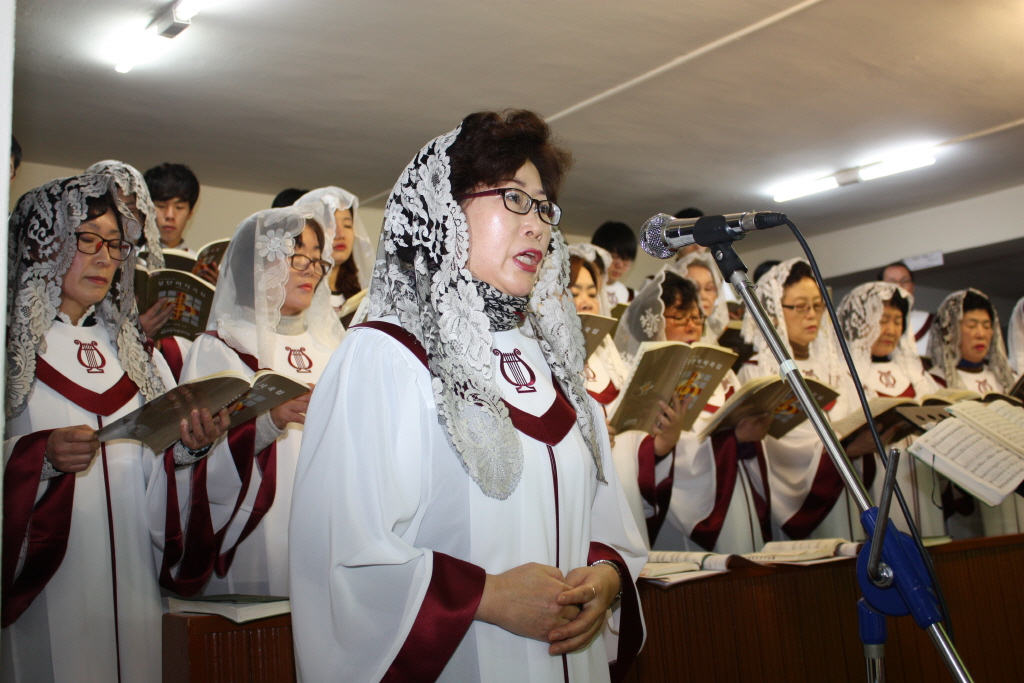 resize_IMG_6958.JPG