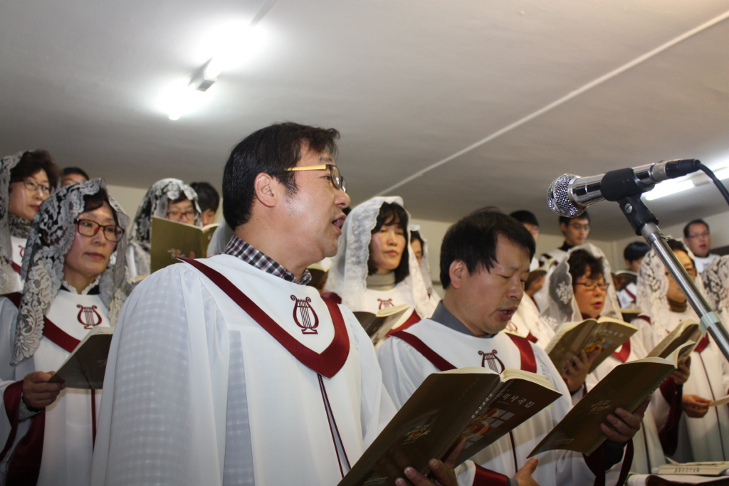 resize_IMG_6964.JPG