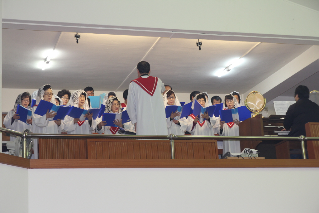 resize_IMG_5564.JPG