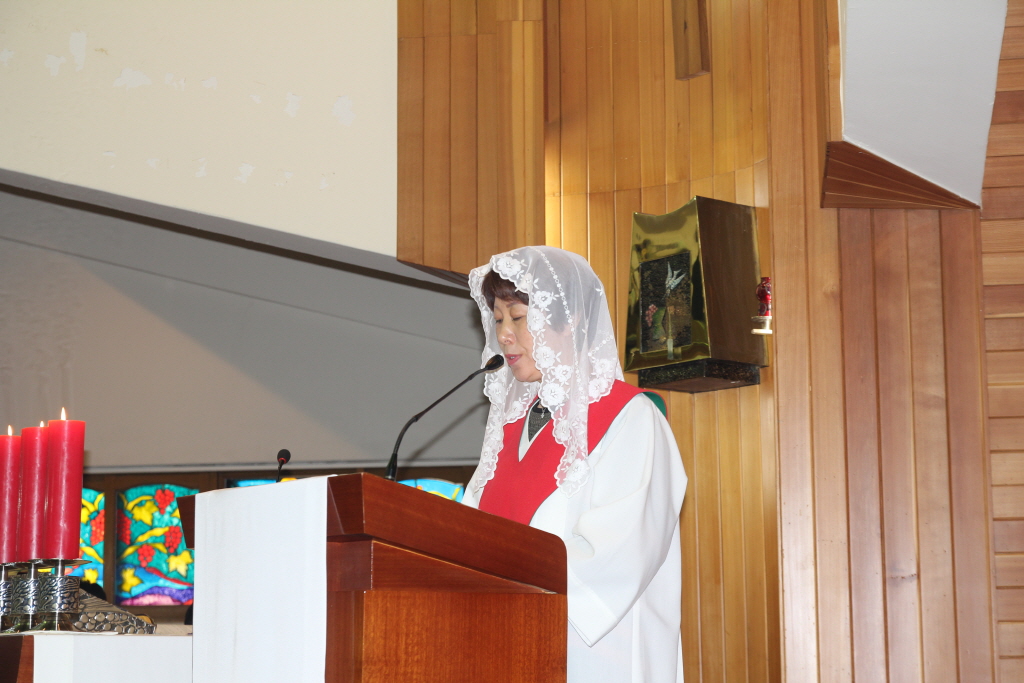 resize_IMG_5567.JPG