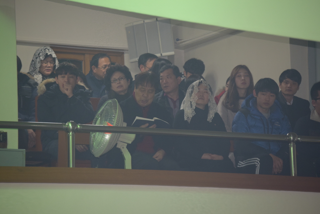 resize_DSC_0240.JPG