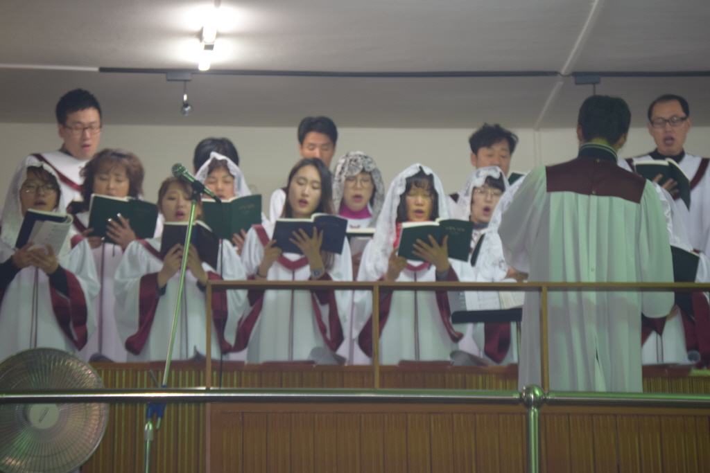 resize_DSC_0234.JPG