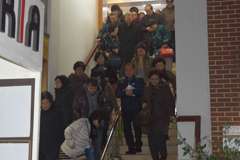 resize_DSC_0278.JPG
