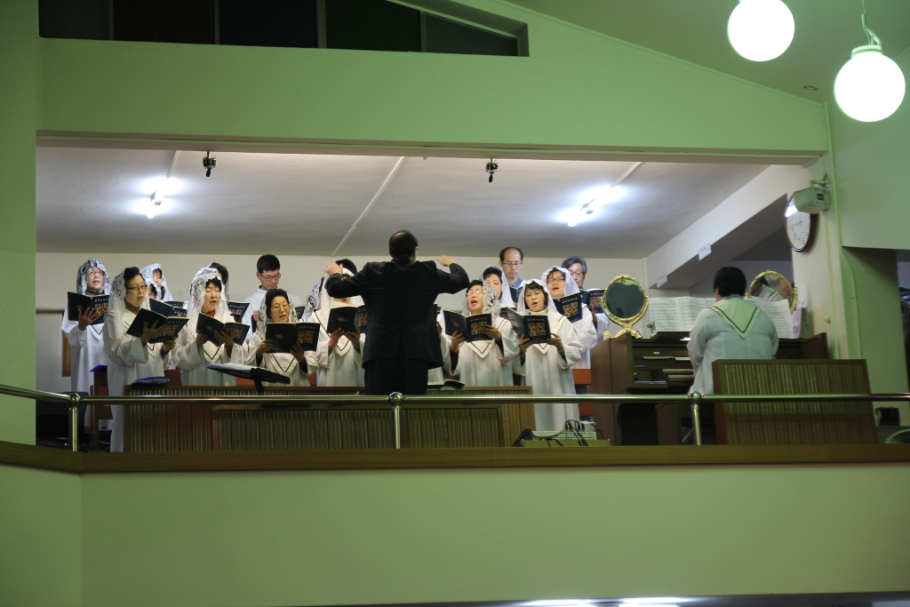 resize_IMG_5788.JPG