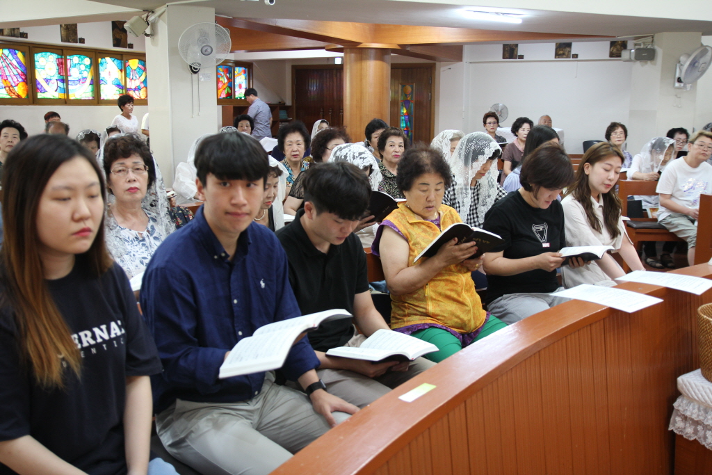 resize_IMG_9645.JPG