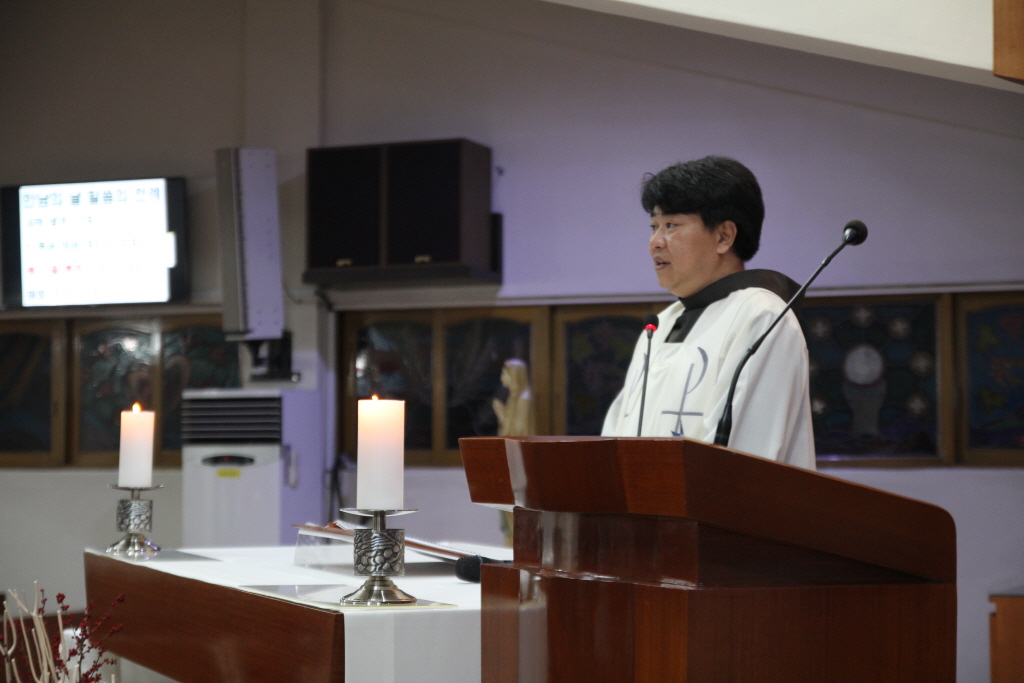 resize_IMG_9686.JPG