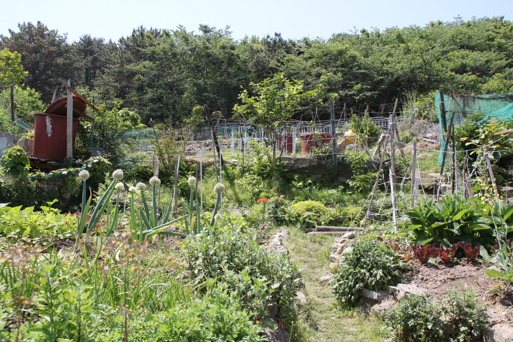 resize_IMG_6125.JPG