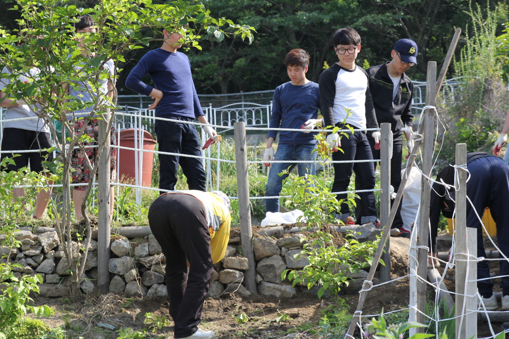 resize_IMG_6144.JPG