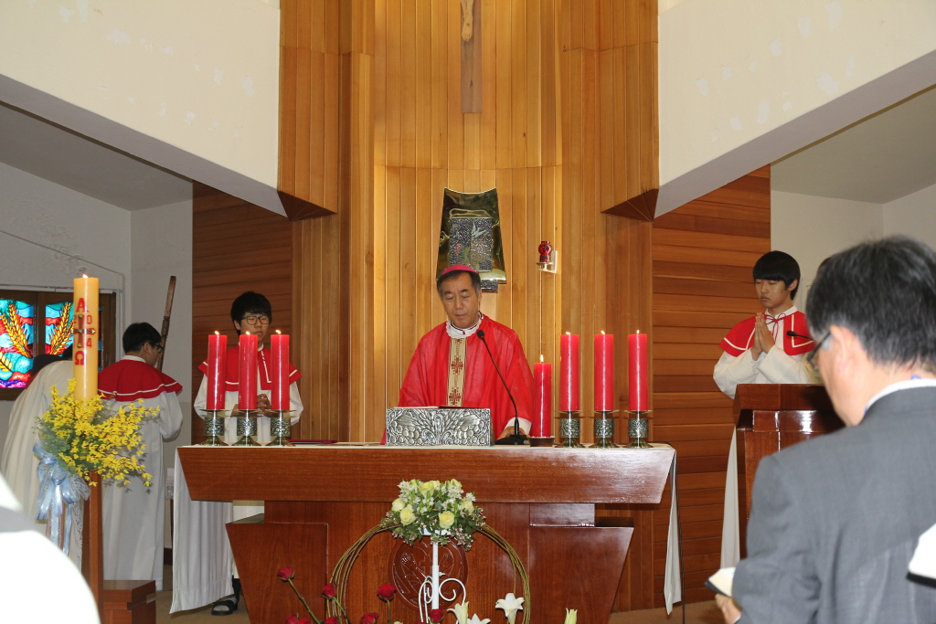 resize_IMG_6206.JPG