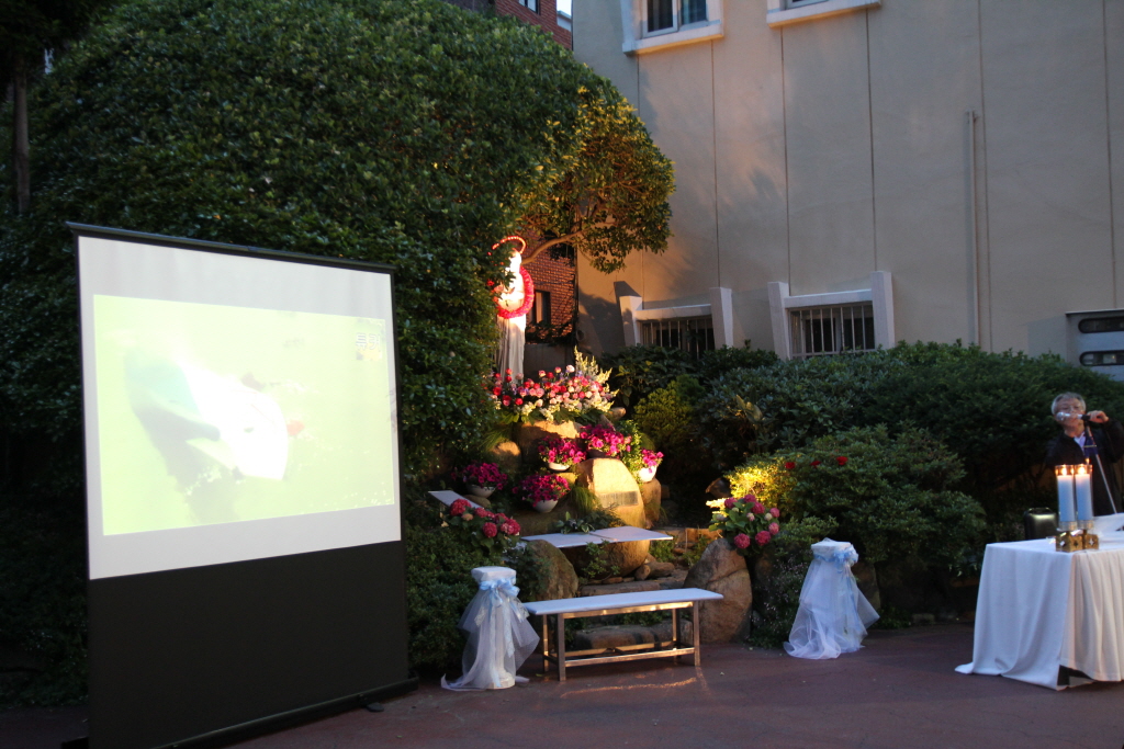 resize_IMG_6350.JPG
