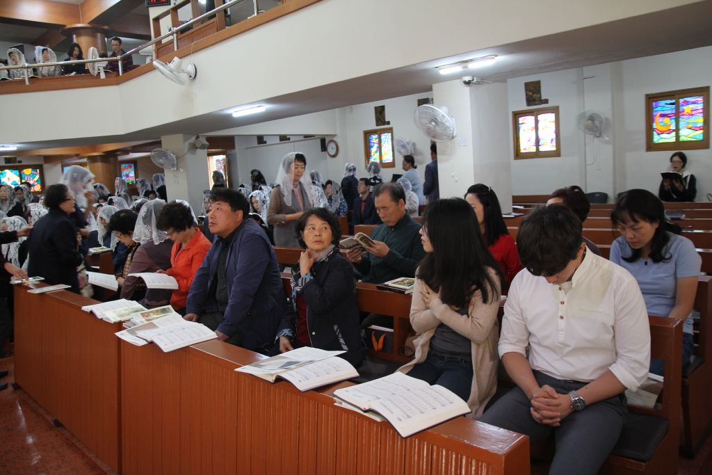 resize_IMG_0082.JPG