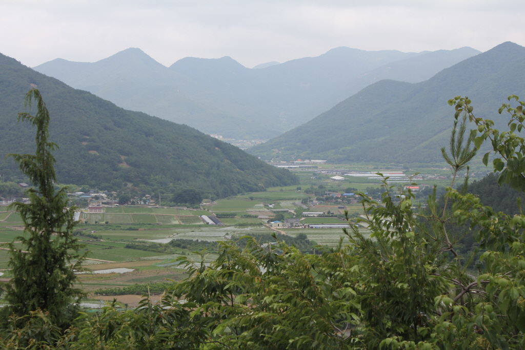 resize_IMG_6747.JPG