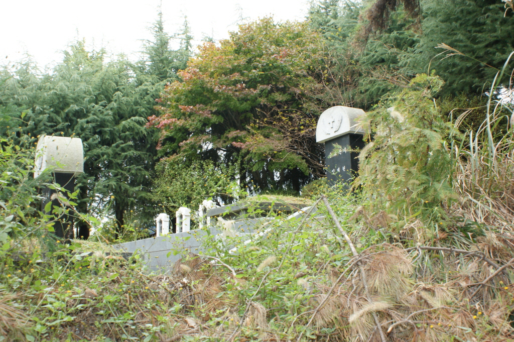 resize_DSC06815.JPG