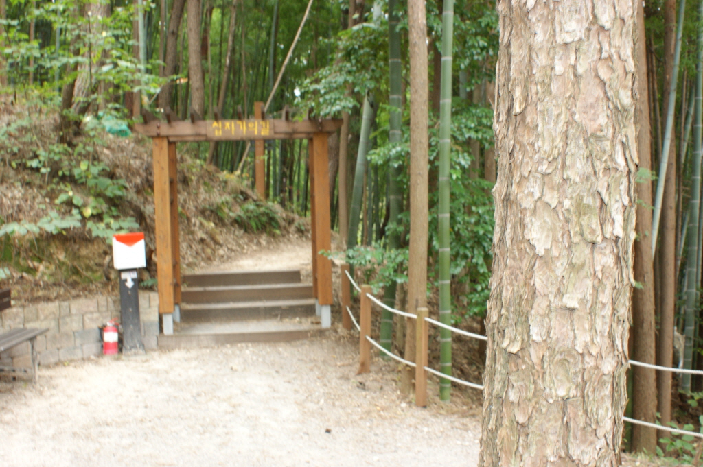 resize_DSC06822.JPG
