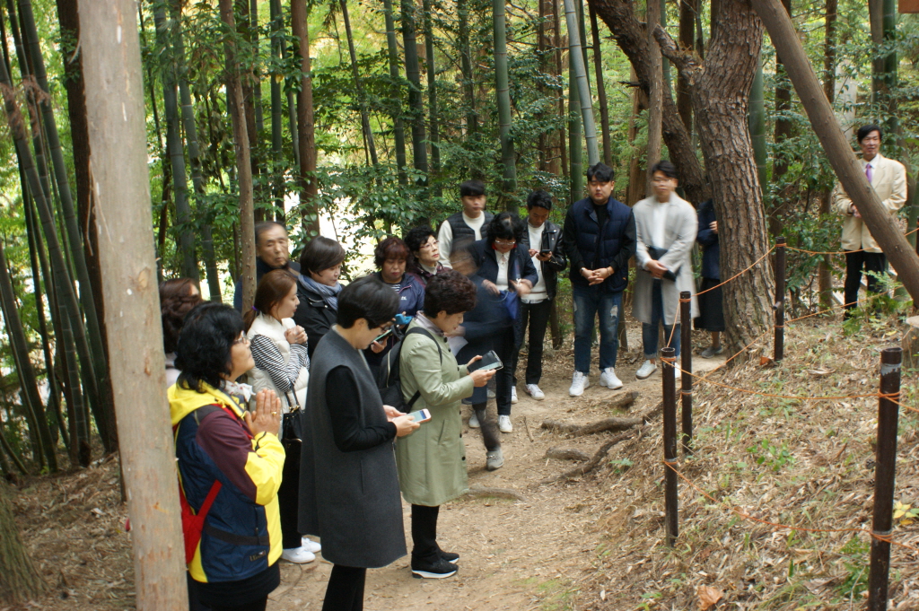 resize_DSC06826.JPG
