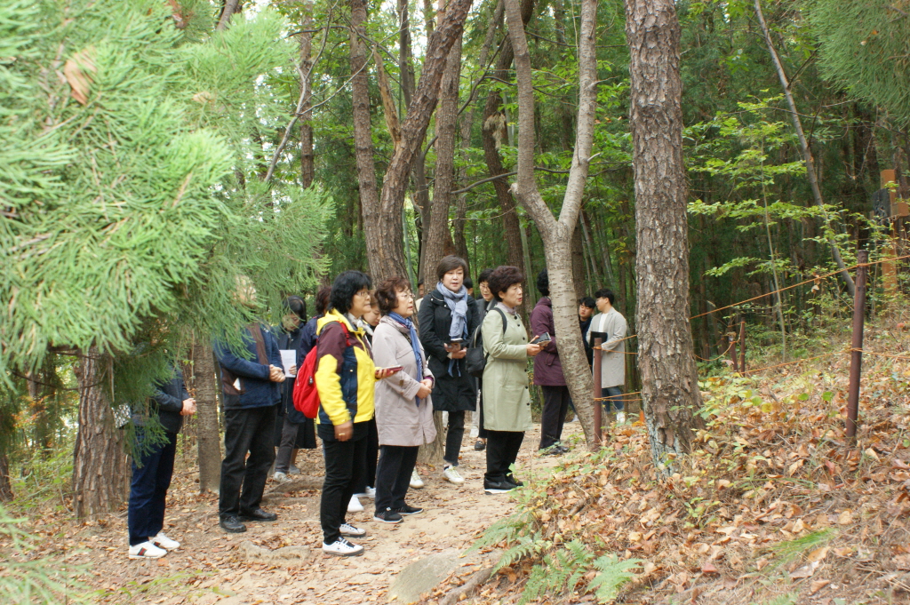 resize_DSC06849.JPG