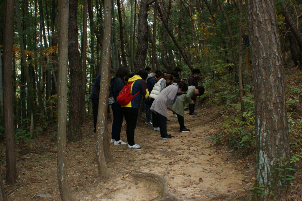 resize_DSC06835.JPG
