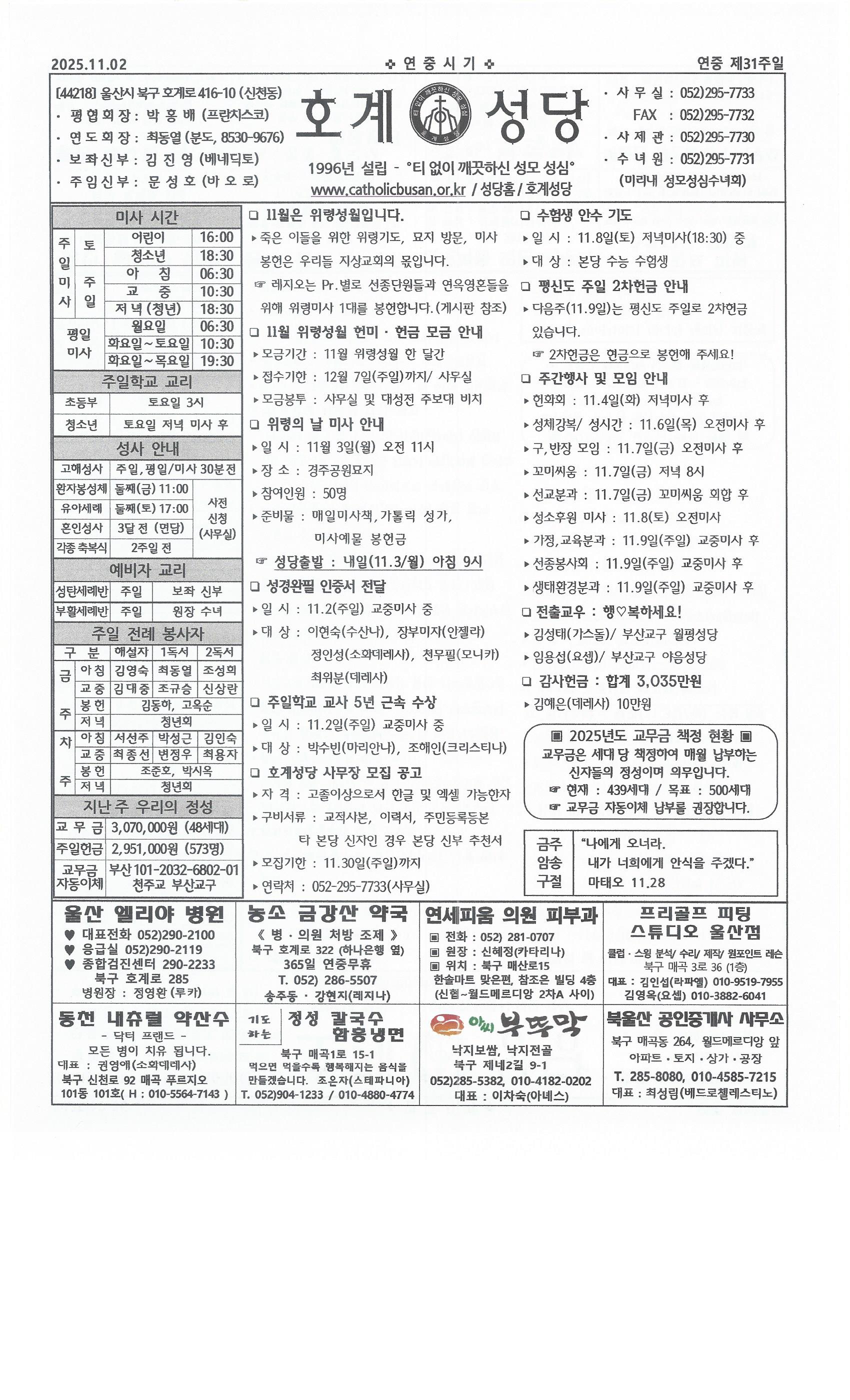 2025년 11월 2일 연중 제31주일.jpg