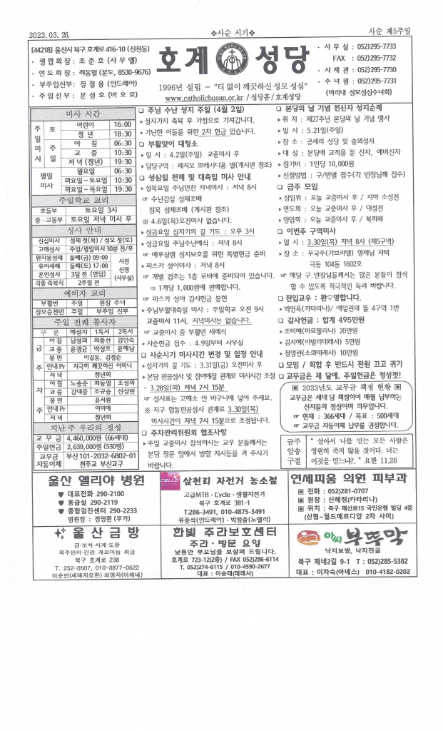 2023년 3월 26일 사순 제5주일.jpg