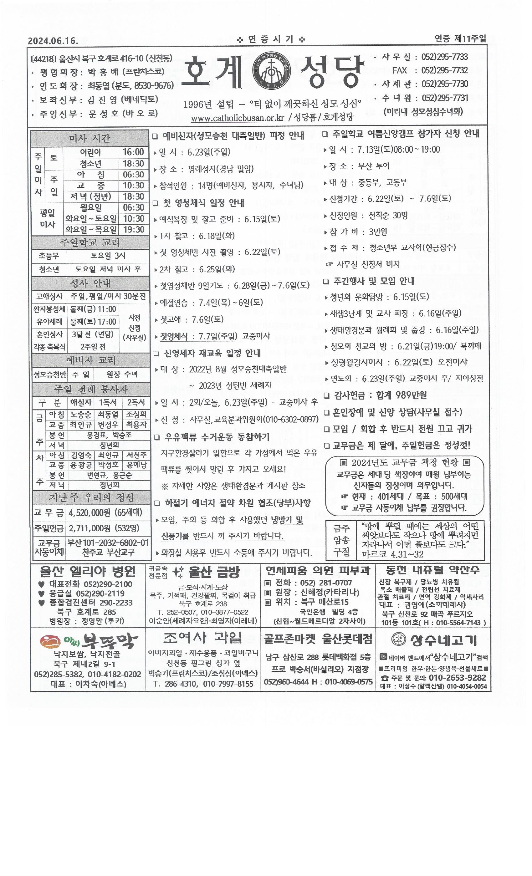 2024년 6월 16일 연중 제11주일.jpg