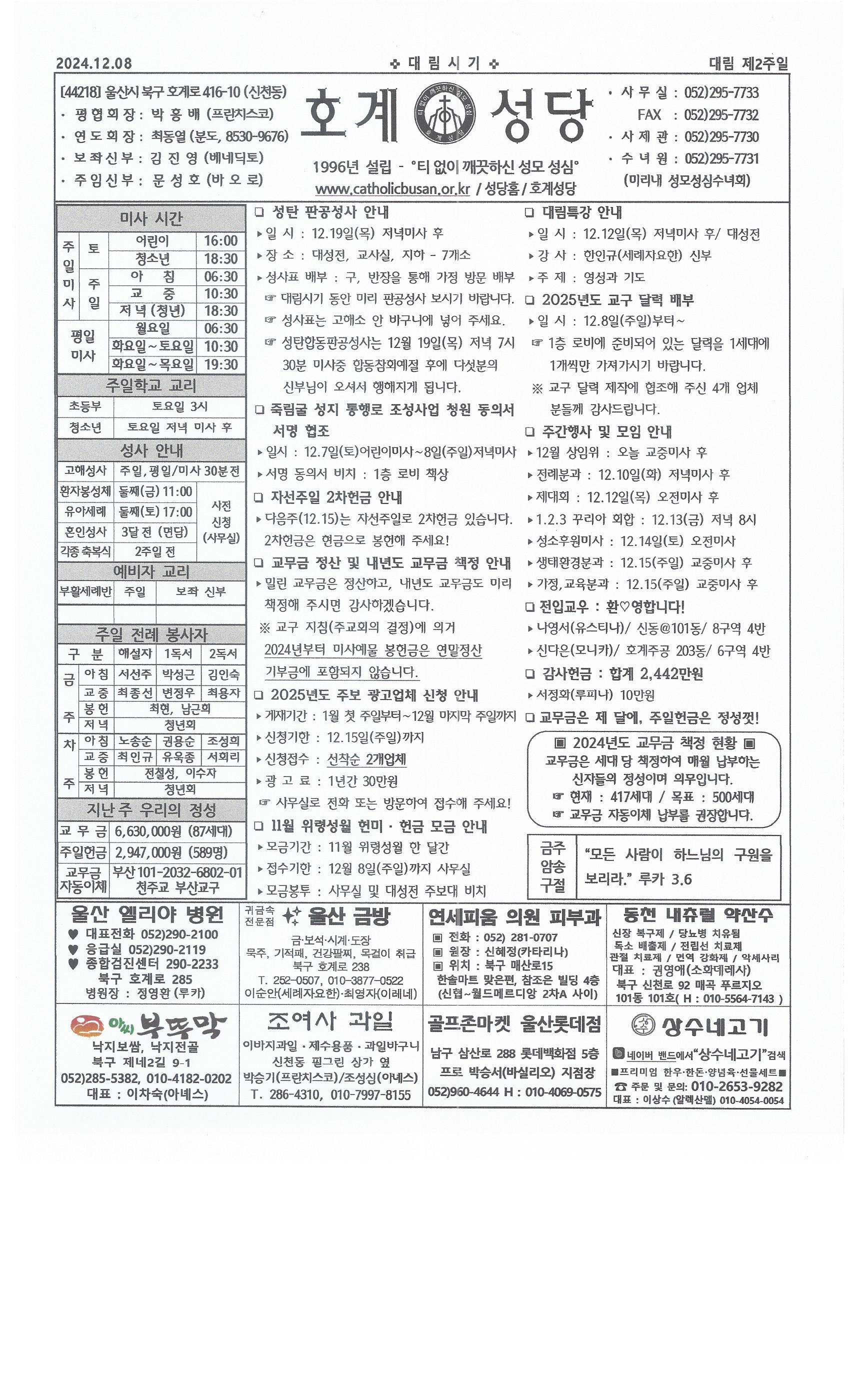 2024년 12월 8일 대림 제2주일.jpg