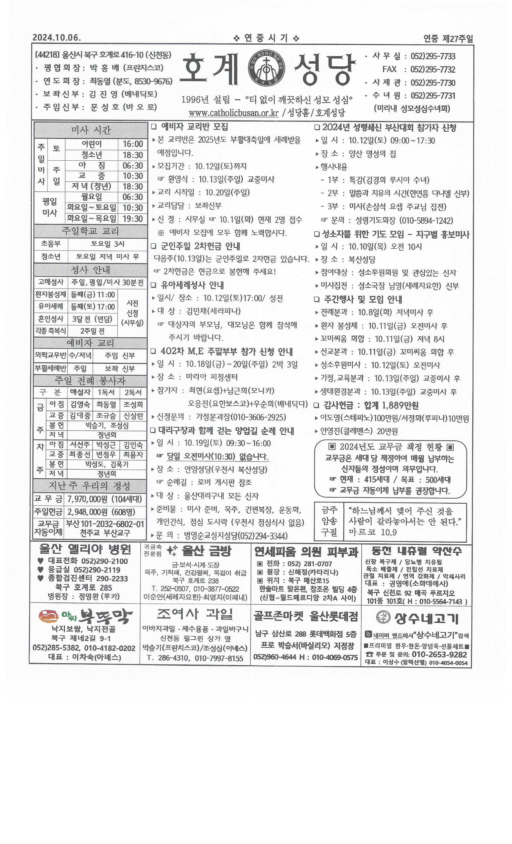2024년 10월 6일 연중 제27주일.jpg