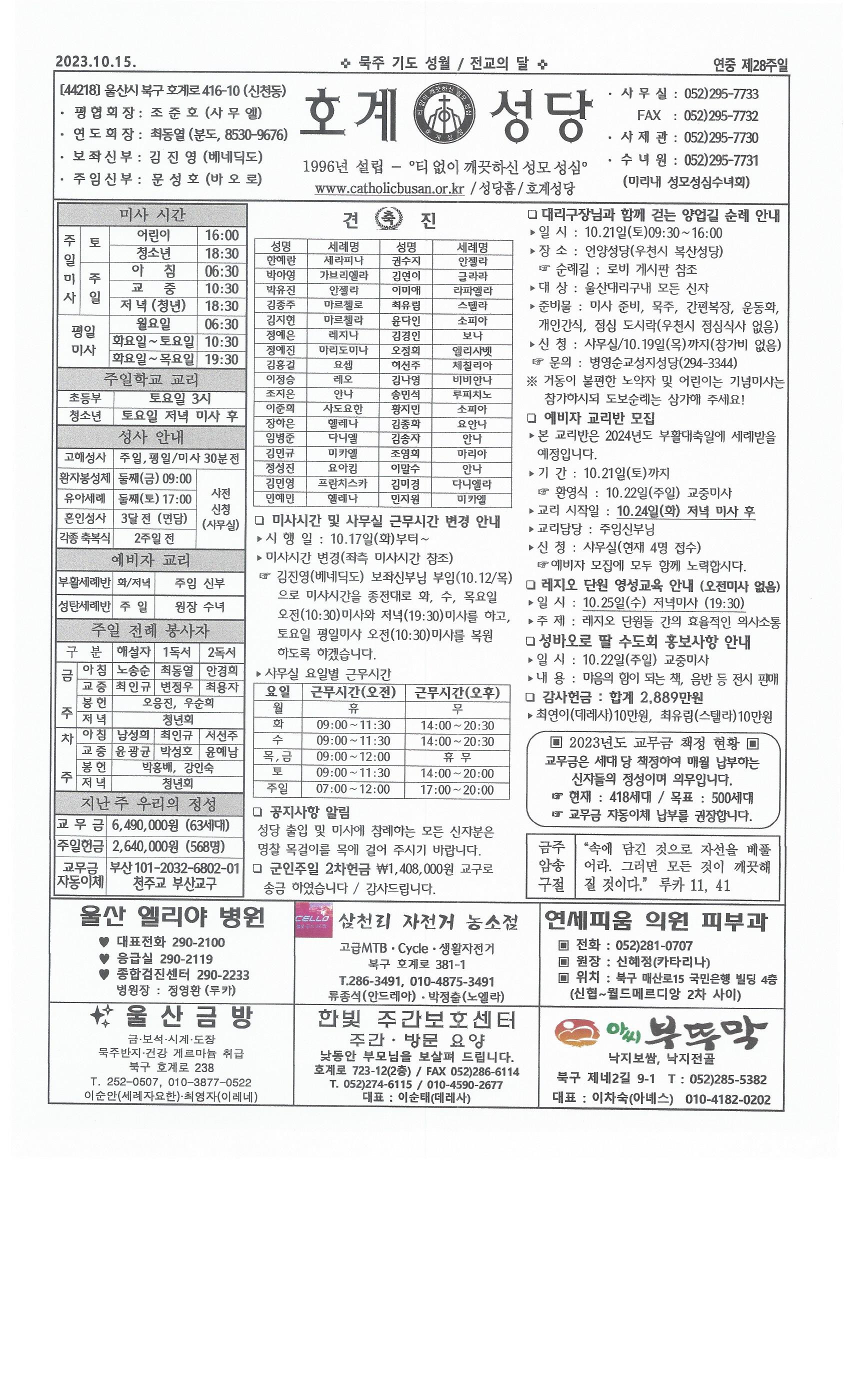 2023년 10월 15일 연중 제28주일.jpg