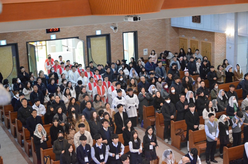 hogye5.JPG