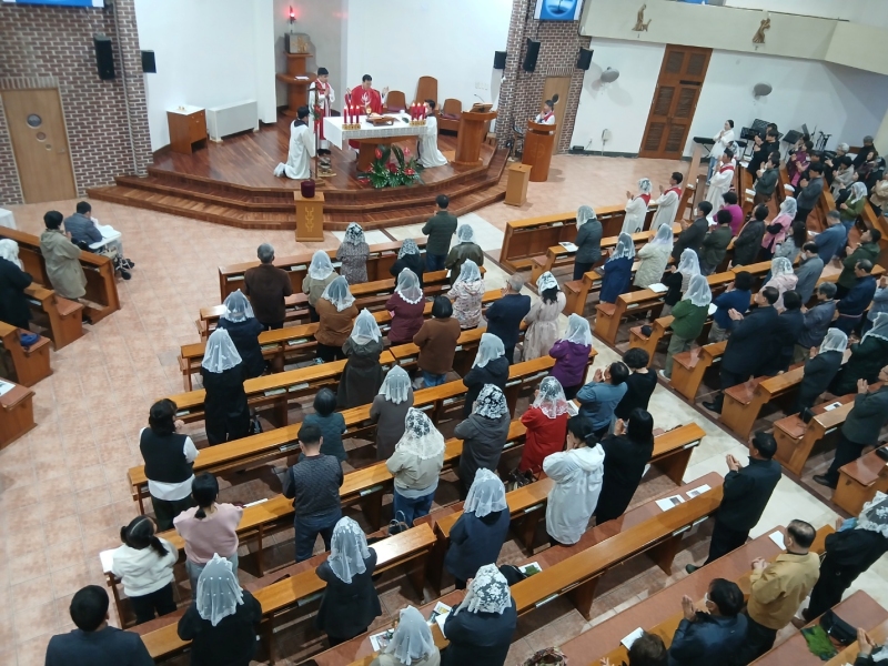 hogye13.jpg