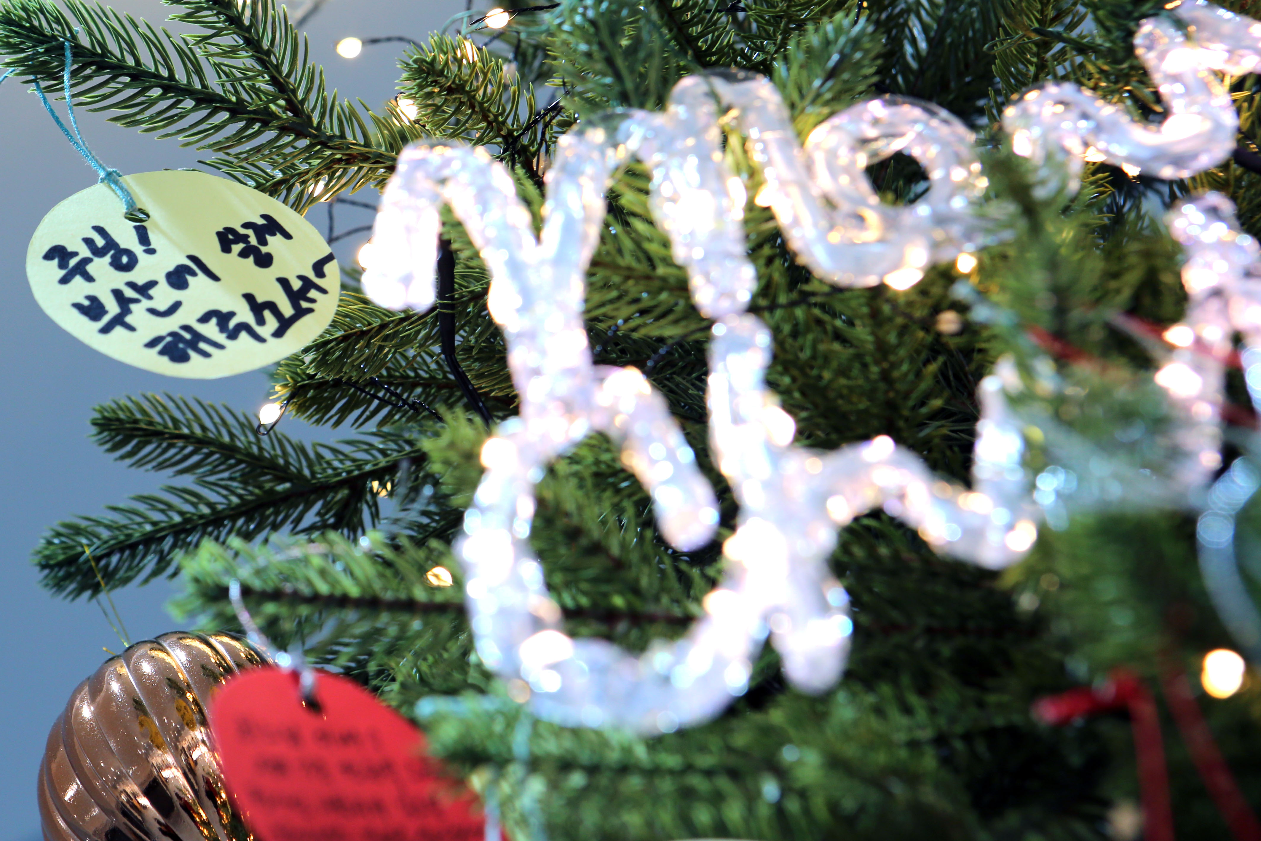 보좌신부님 소원.JPG