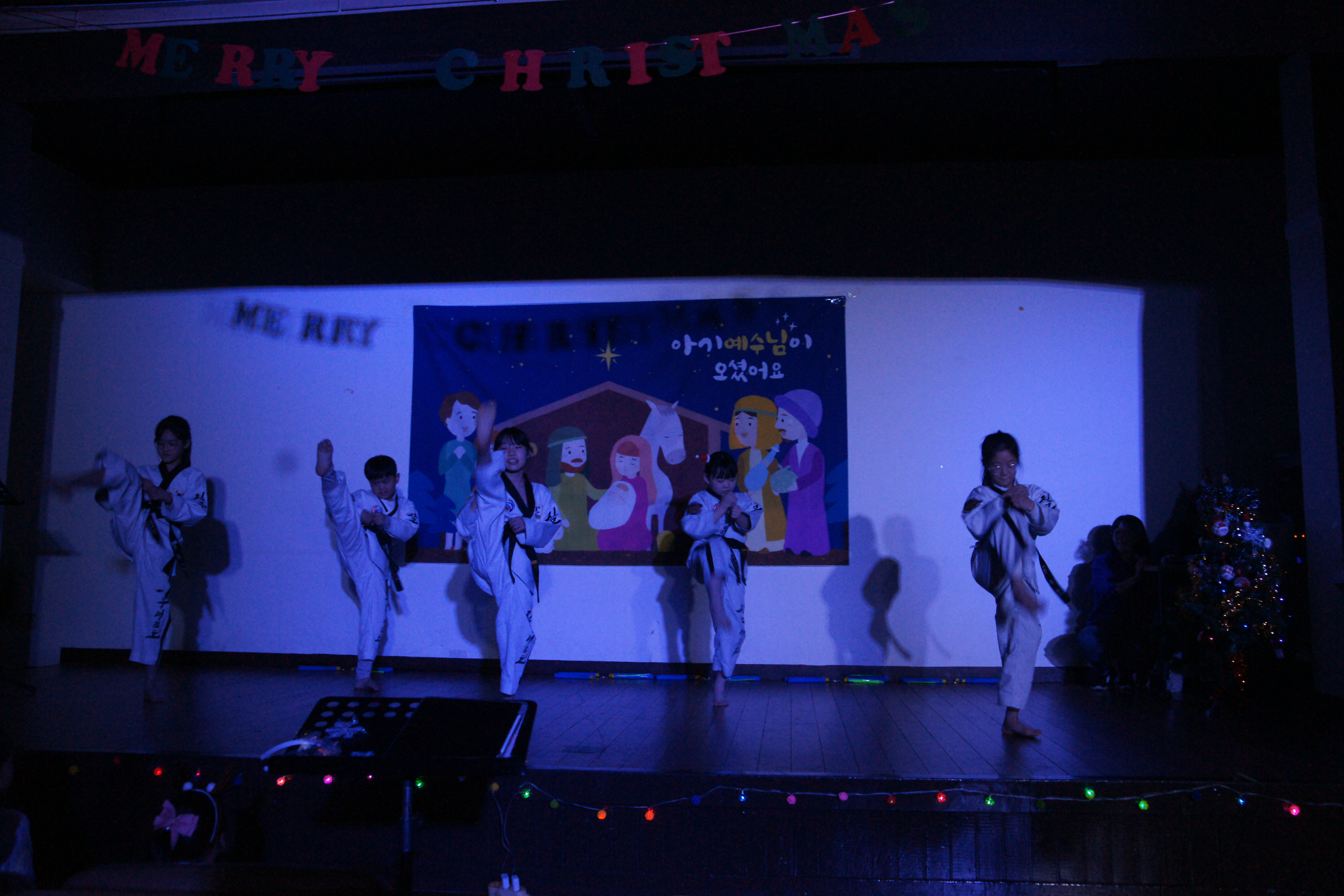 DSC07706.JPG