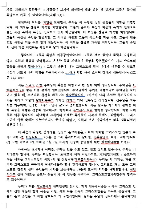 교황 레오14세 연중 제24주일 강론2.jpg