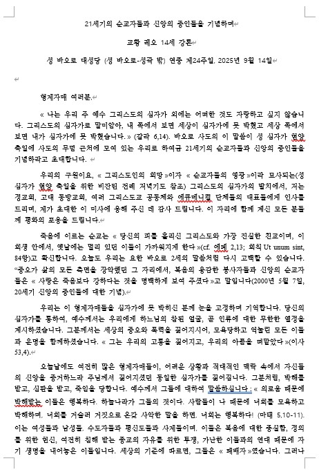 교황 레오14세 연중 제24주일 강론1.jpg