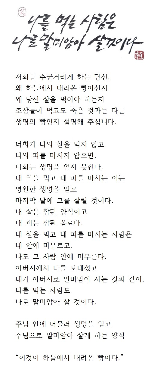 20240818연중제20주일.jpg