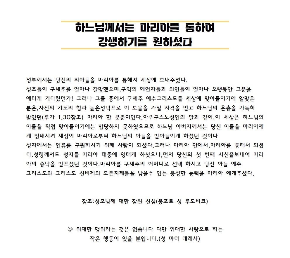 하느님께서 마리아를통하여 강생001.jpg