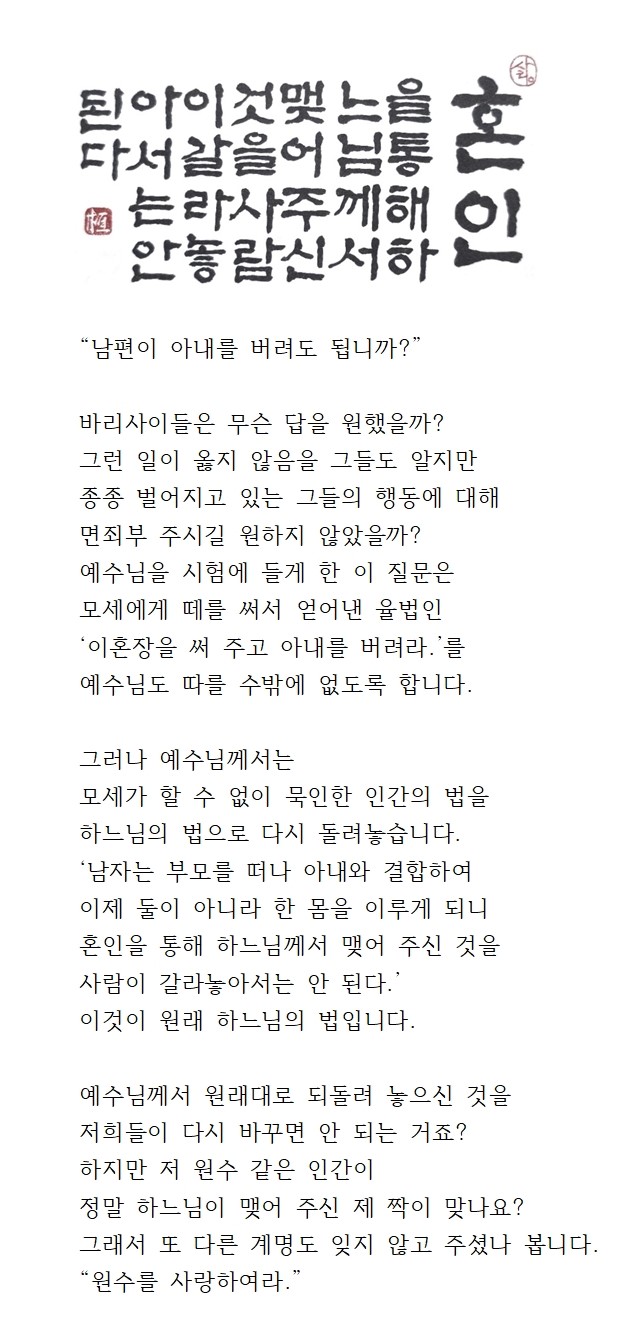 20241006연중제27주일001.jpg