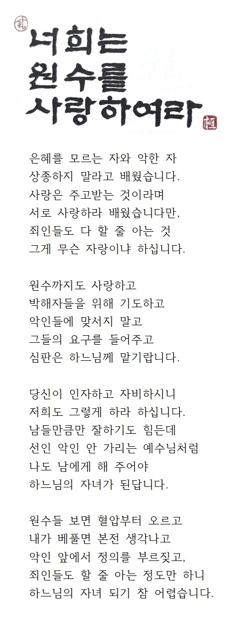 20250223연중제7주일(다해)001.jpg