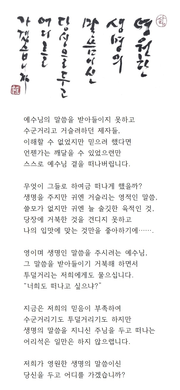 20240825연중제21주일.jpg