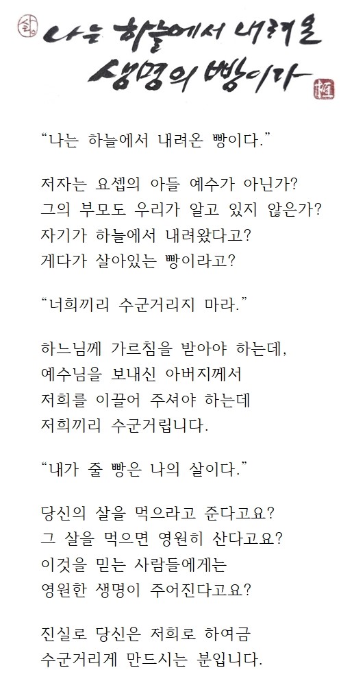 20240811연중제19주일.jpg