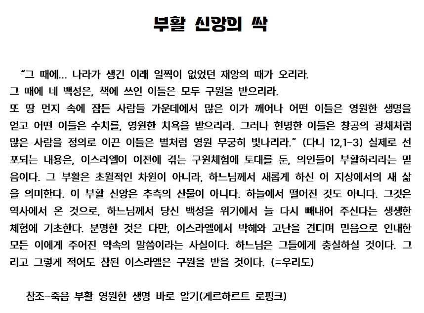 20241112훈화문(부활 신앙의 싹)001.jpg