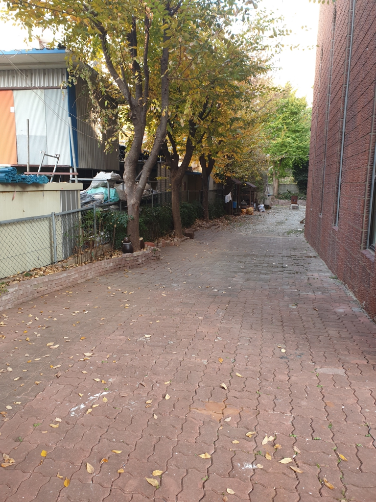 20221110_160244.jpg