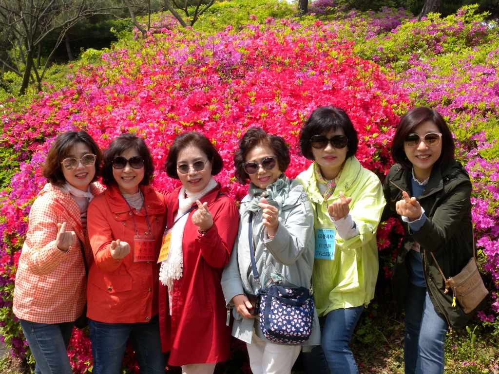 DSCN6620.JPG