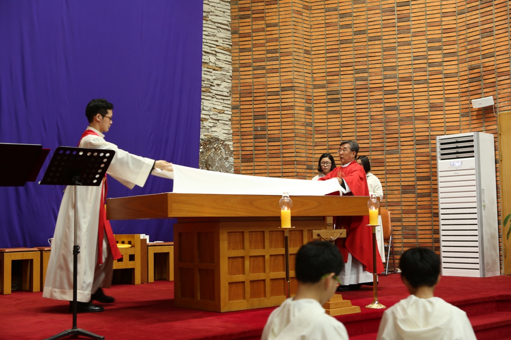 8I7A3547.JPG