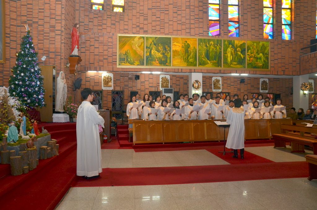 1-DSC_7982.JPG