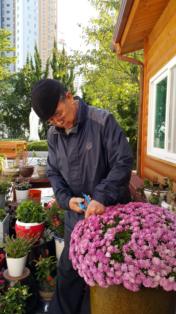 20161009_143223.jpg